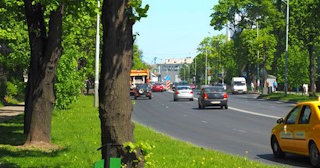 Посадка деревьев и кустарников в Улане-Удэ — стоимость от 1229 руб.